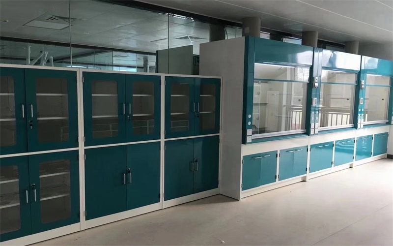 2021最新通風(fēng)柜、實(shí)驗(yàn)臺(tái)的安裝現(xiàn)場(chǎng)圖